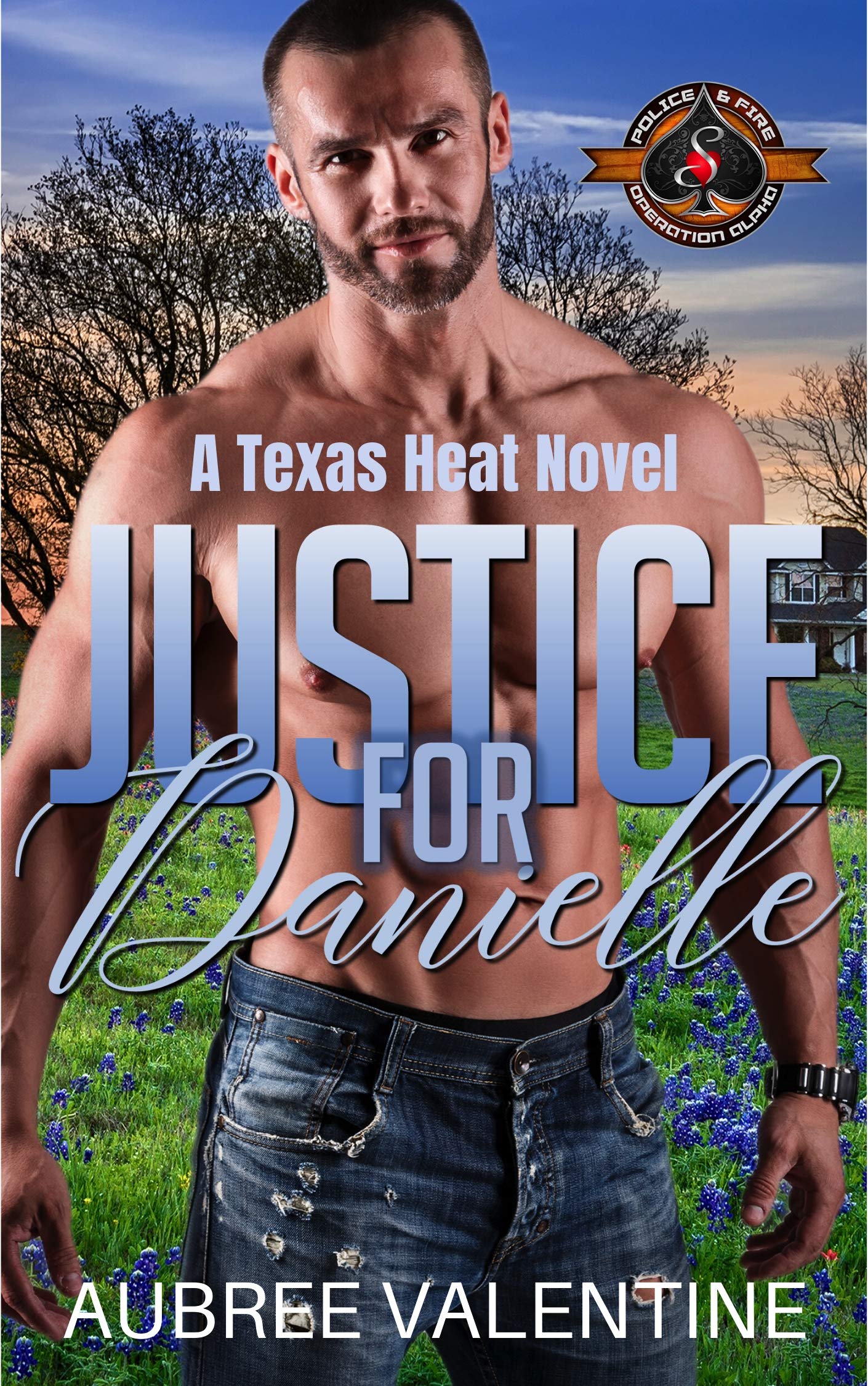 Justice for Danielle (Texas Heat #1)