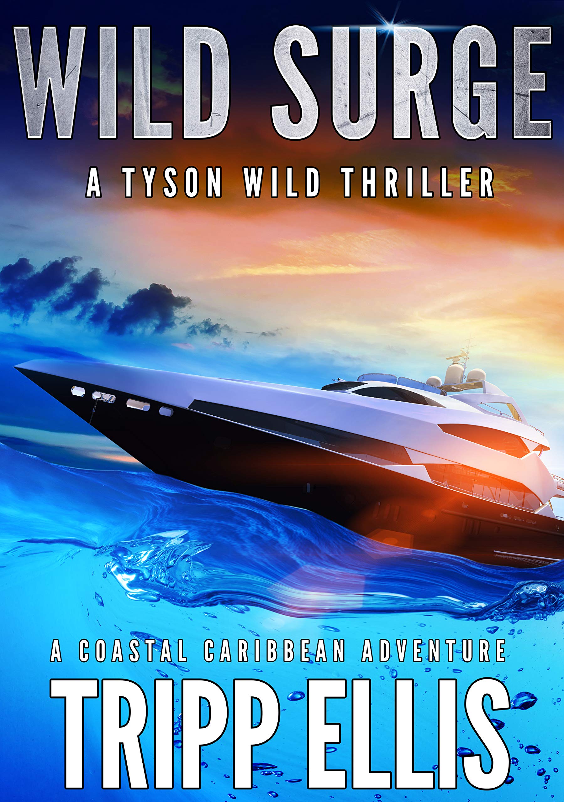 Wild Surge (Tyson Wild Thriller, #14)