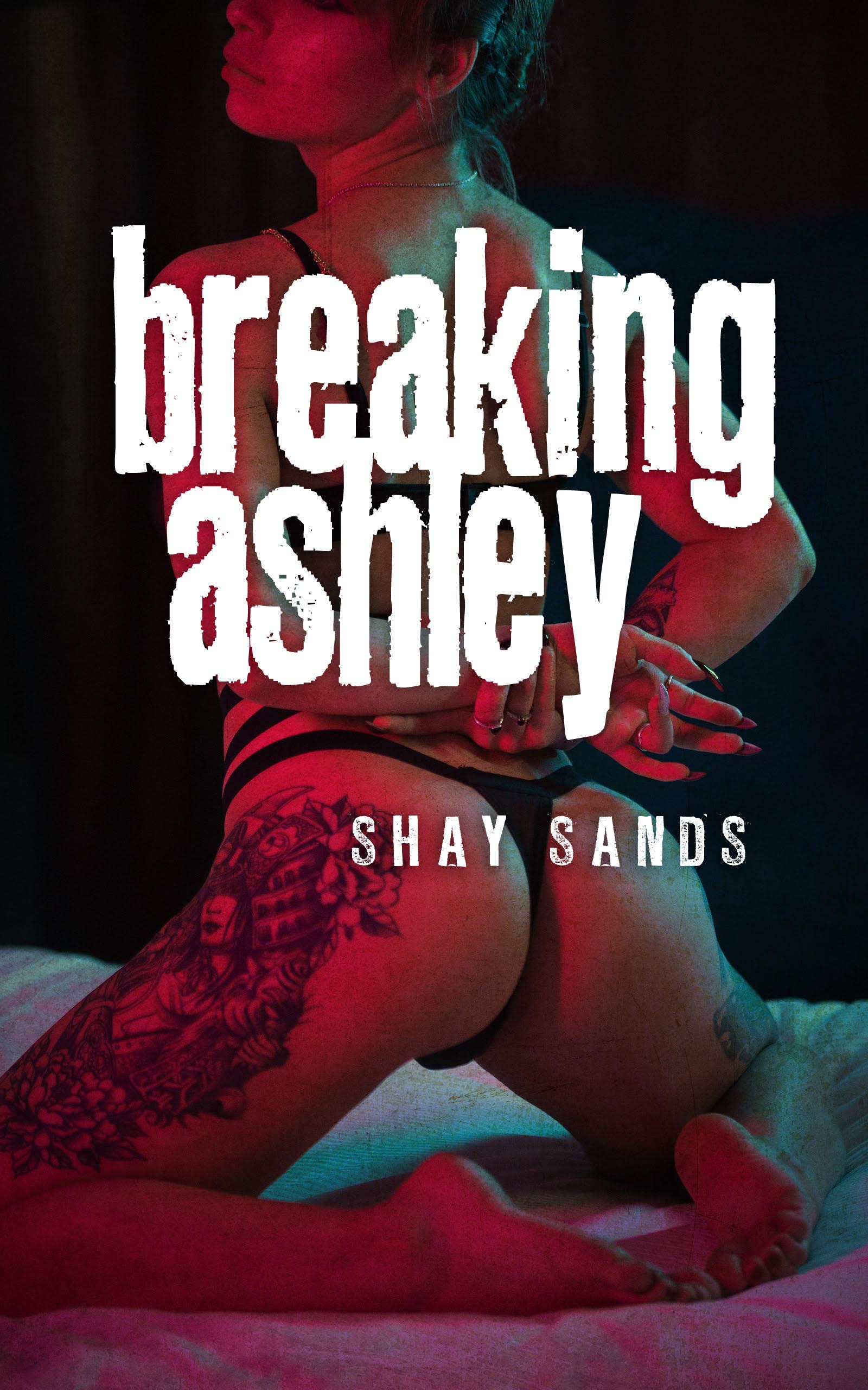 Breaking Ashley (Kindle Edition)