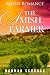 The Amish Farmer