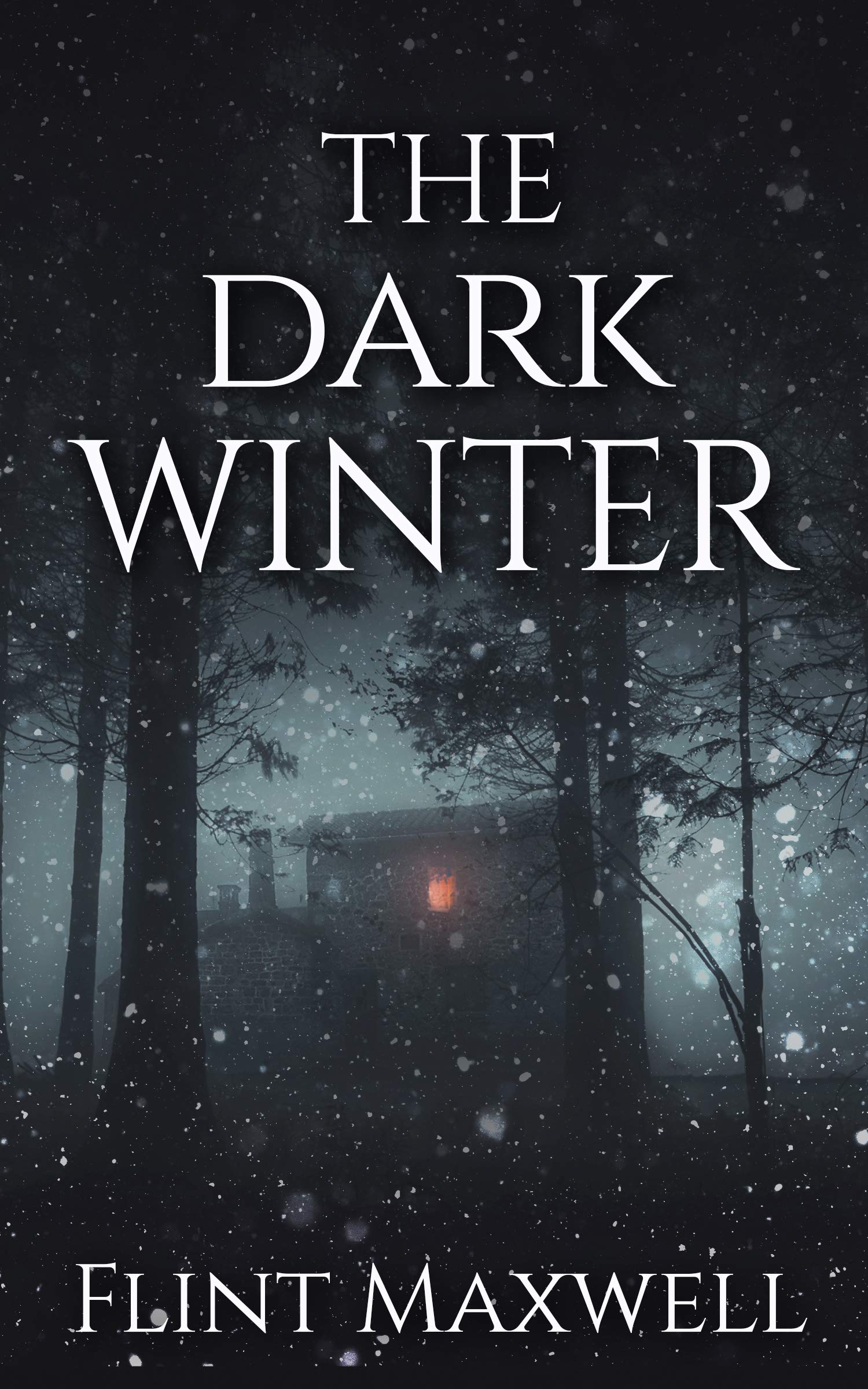 The Dark Winter (Whiteout, #2)