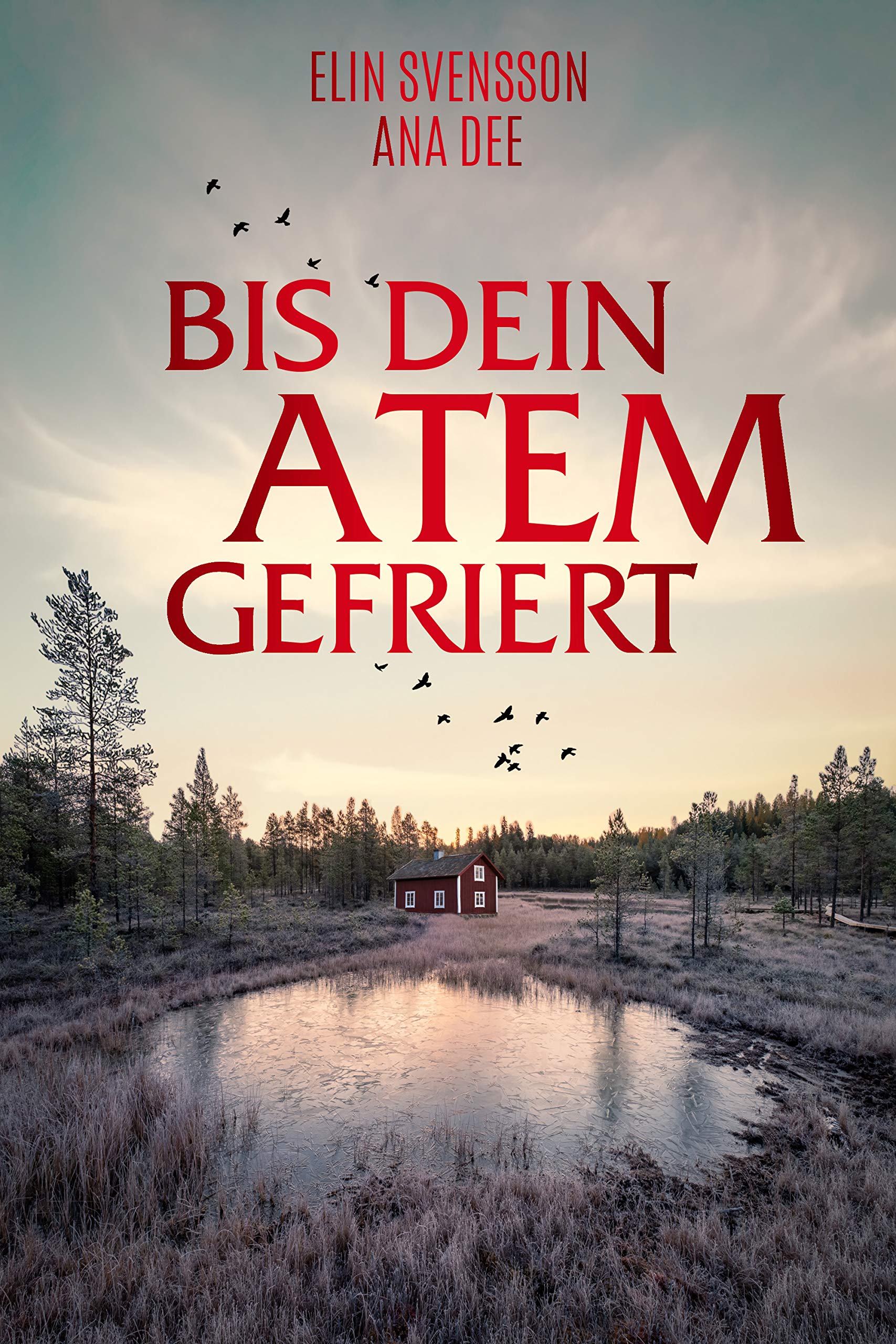 Bis dein Atem gefriert: Schweden-Krimi (German Edition)