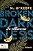 So vollkommen (Broken Darkness #2)