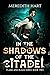 In the Shadows of the Citad...