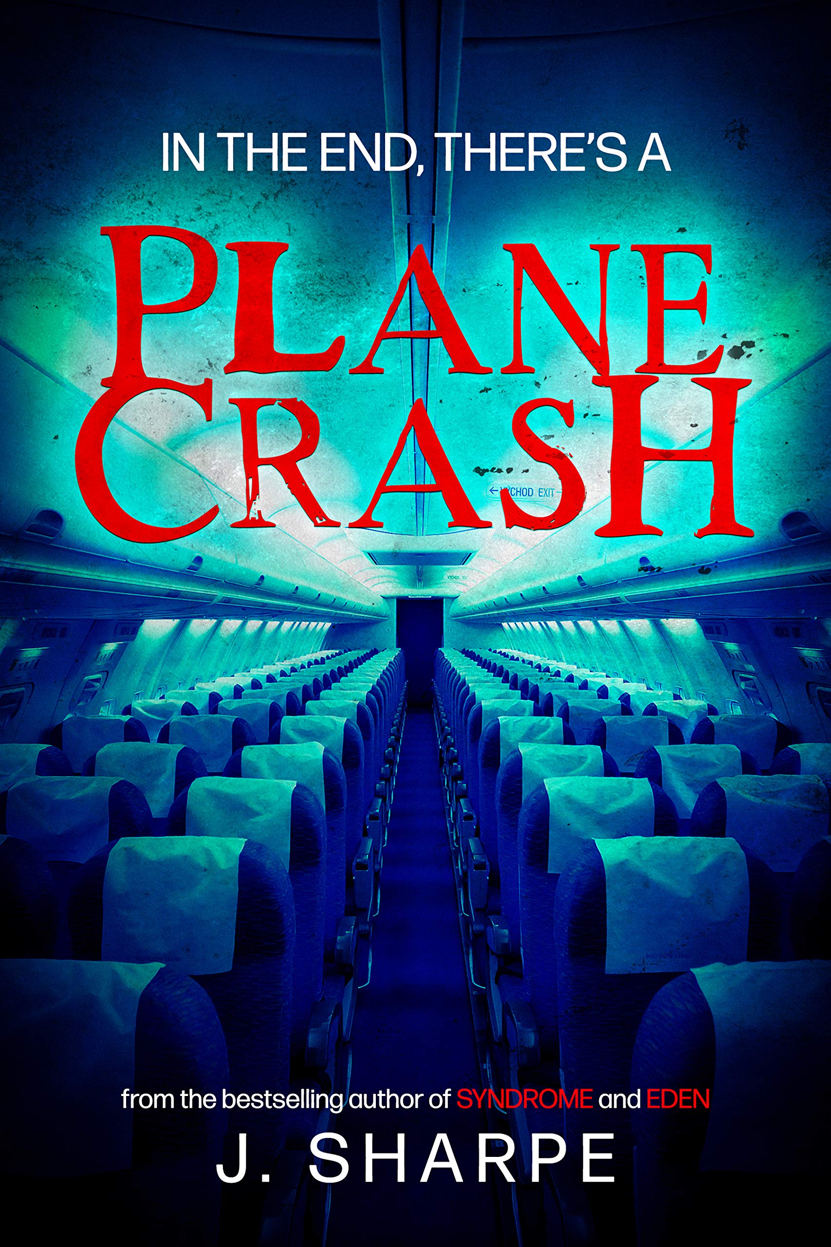 In the End, There's a Plane Crash (Kindle Edition)