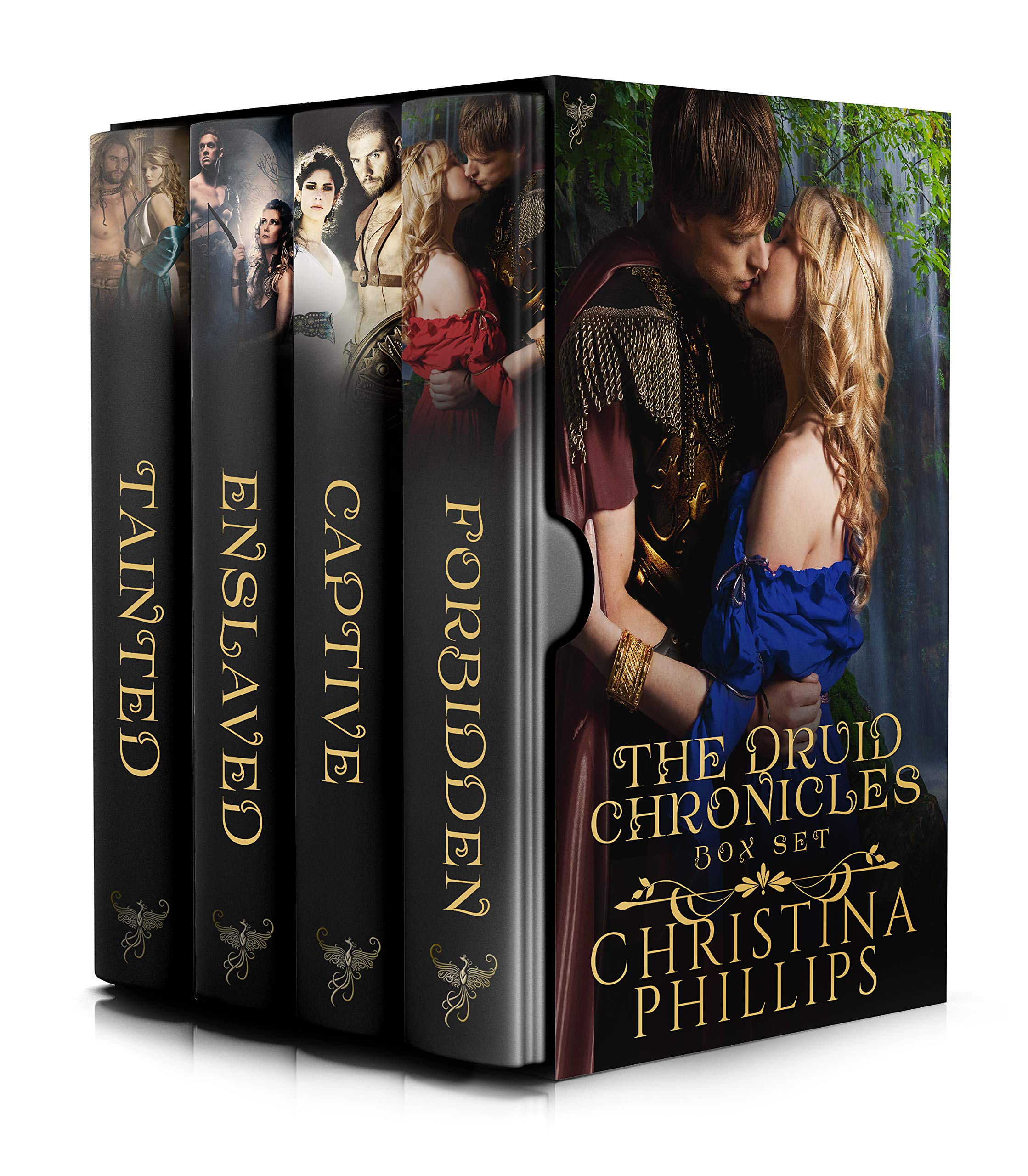 The Druid Chronicles: Mystical Historical Romance (Kindle Edition)