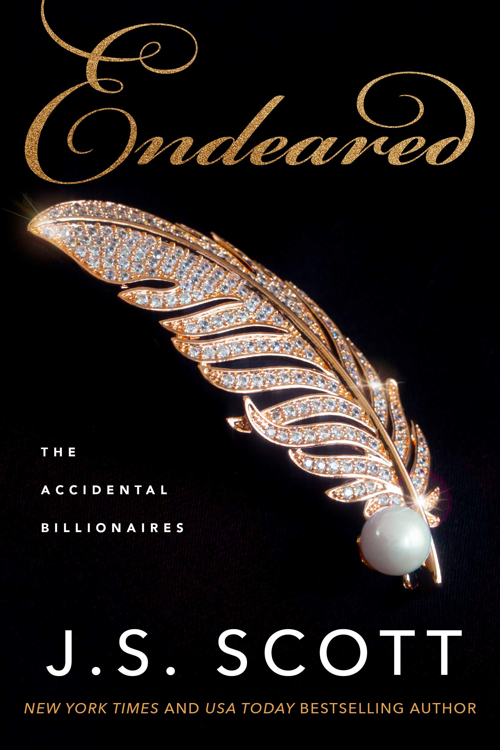 Endeared (The Accidental Billionaires #5)