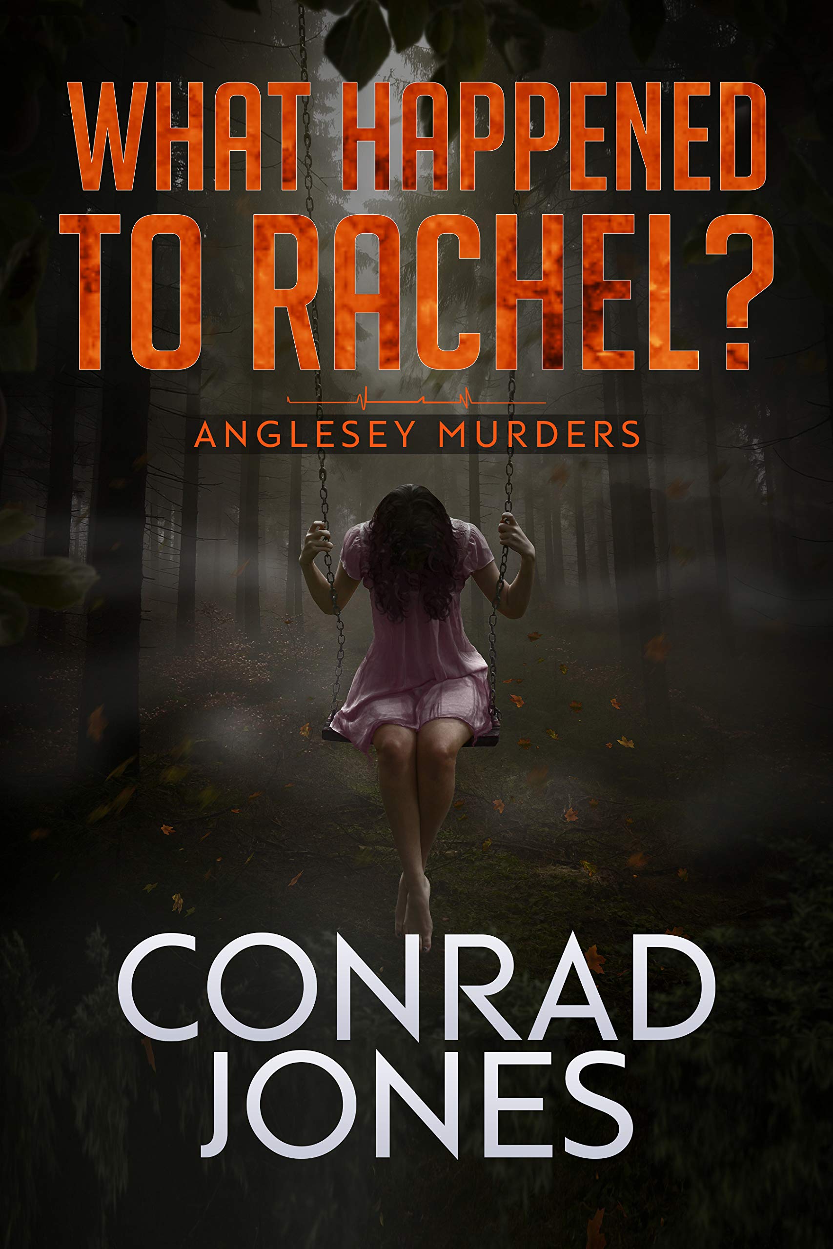 What Happened to Rachel? (The Anglesey Murders #6)