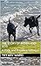 The Story of Buddy and Lexi:: A Pride and Prejudice Variation