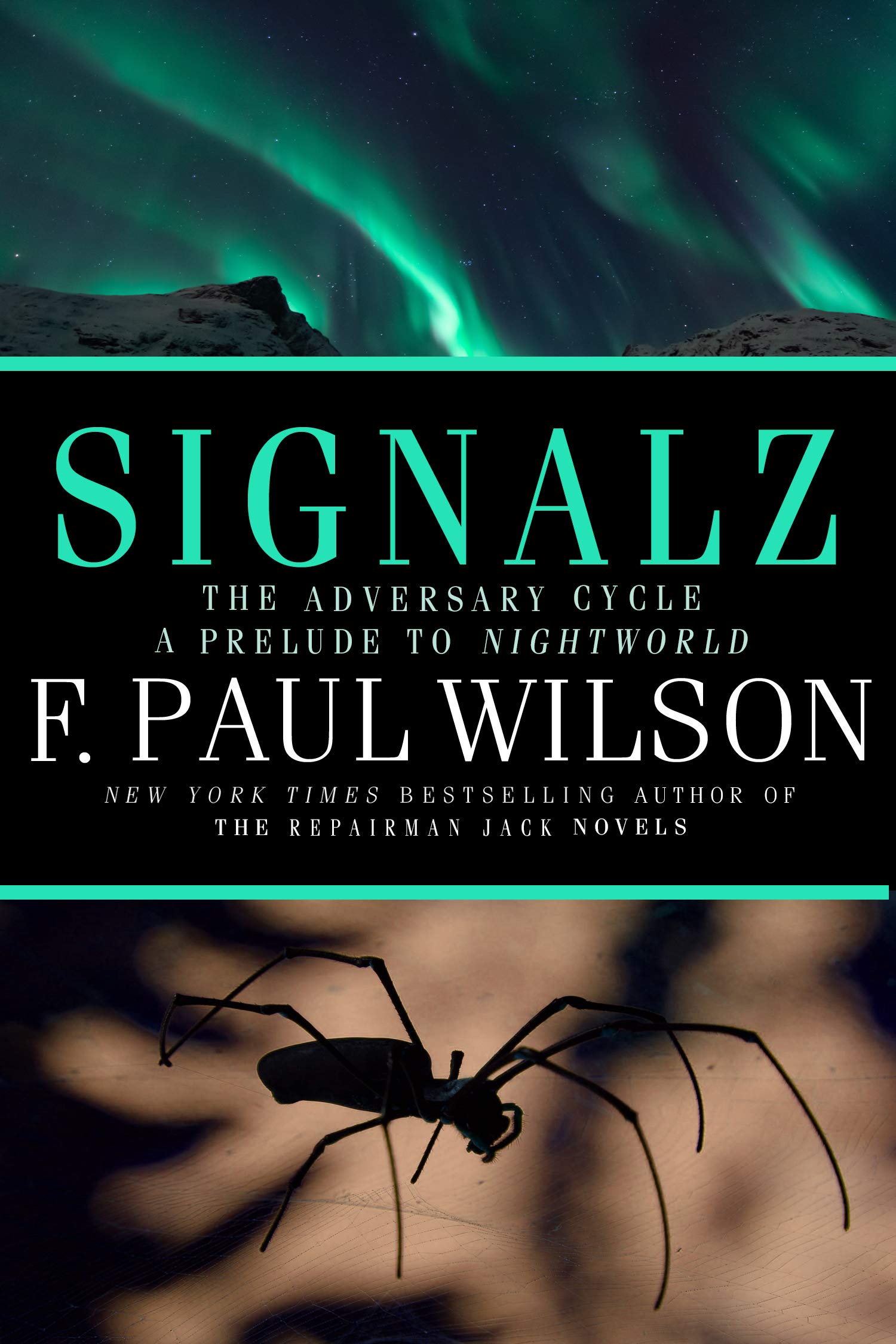Signalz (Kindle Edition)