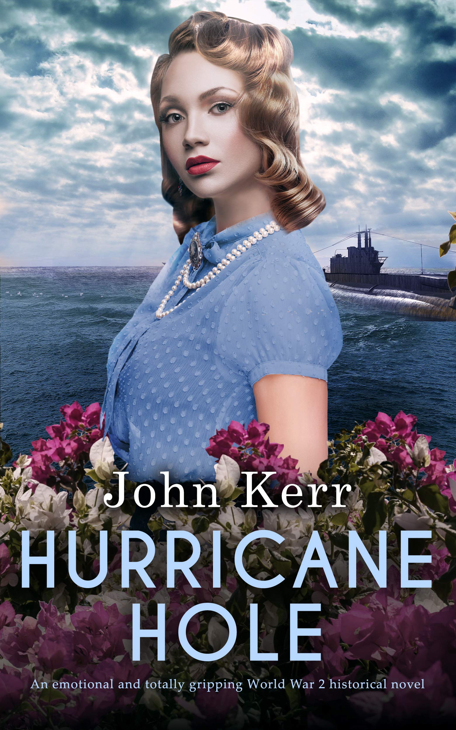 HURRICANE HOLE (Kindle Edition)