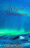 Wizard Shenanigans
