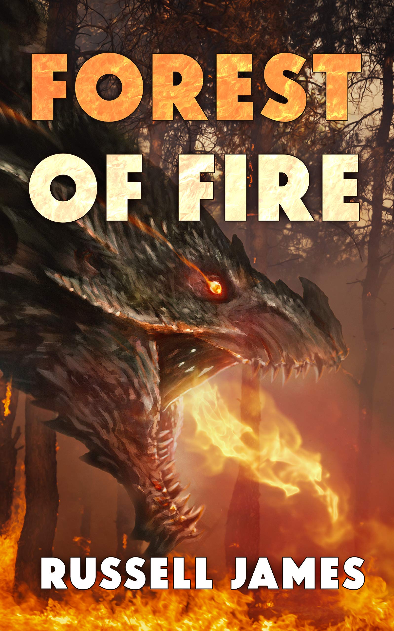 Forest of Fire (Grant Coleman Adventures #4)