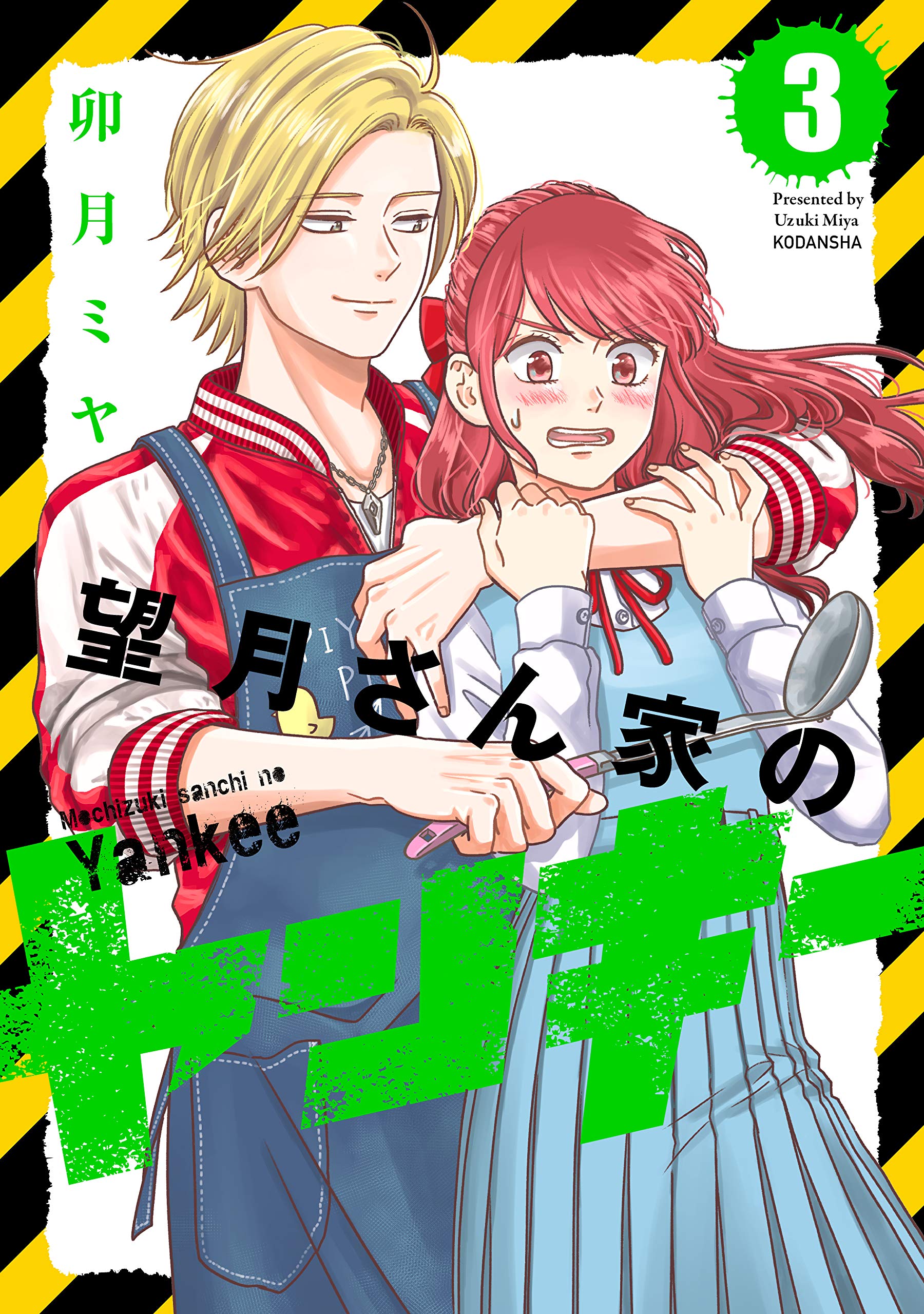 望月さん家のヤンキー（３） (パルシィコミックス) (Japanese Edition)