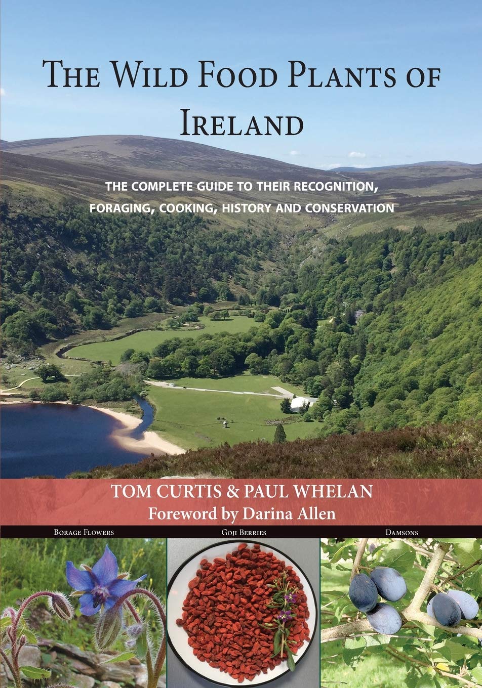 The Wild Food Plants of Ireland: The complete guide to their recognition, foraging, cooking, history and conservation FOREWORD BY Darina Allen (Paperback)