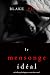Le Mensonge Idéal by Blake Pierce