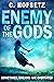 Enemy of the Gods: Sometimes Dreams are Overrated. (Challenges of The Gods Book 2)