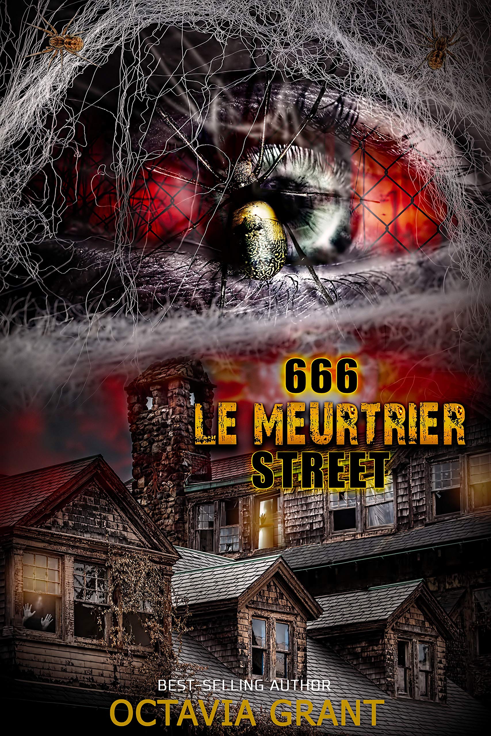 666 Le Meurtrier Street (Kindle Edition)