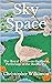 Sky Space by Christopher Wilkinson
