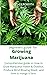 BEGINNERS GUIDE FOR GROWING MARIJUANA: Comprehensive Guide On How to Grow Marijuana Indoor & Outdoor, Produce Mind-Blowing Weed, Mange And Maintain its gardening