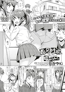 義兄の性欲を姉に代わって鎮めてみた