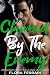 Claimed by the Enemy (Irish...