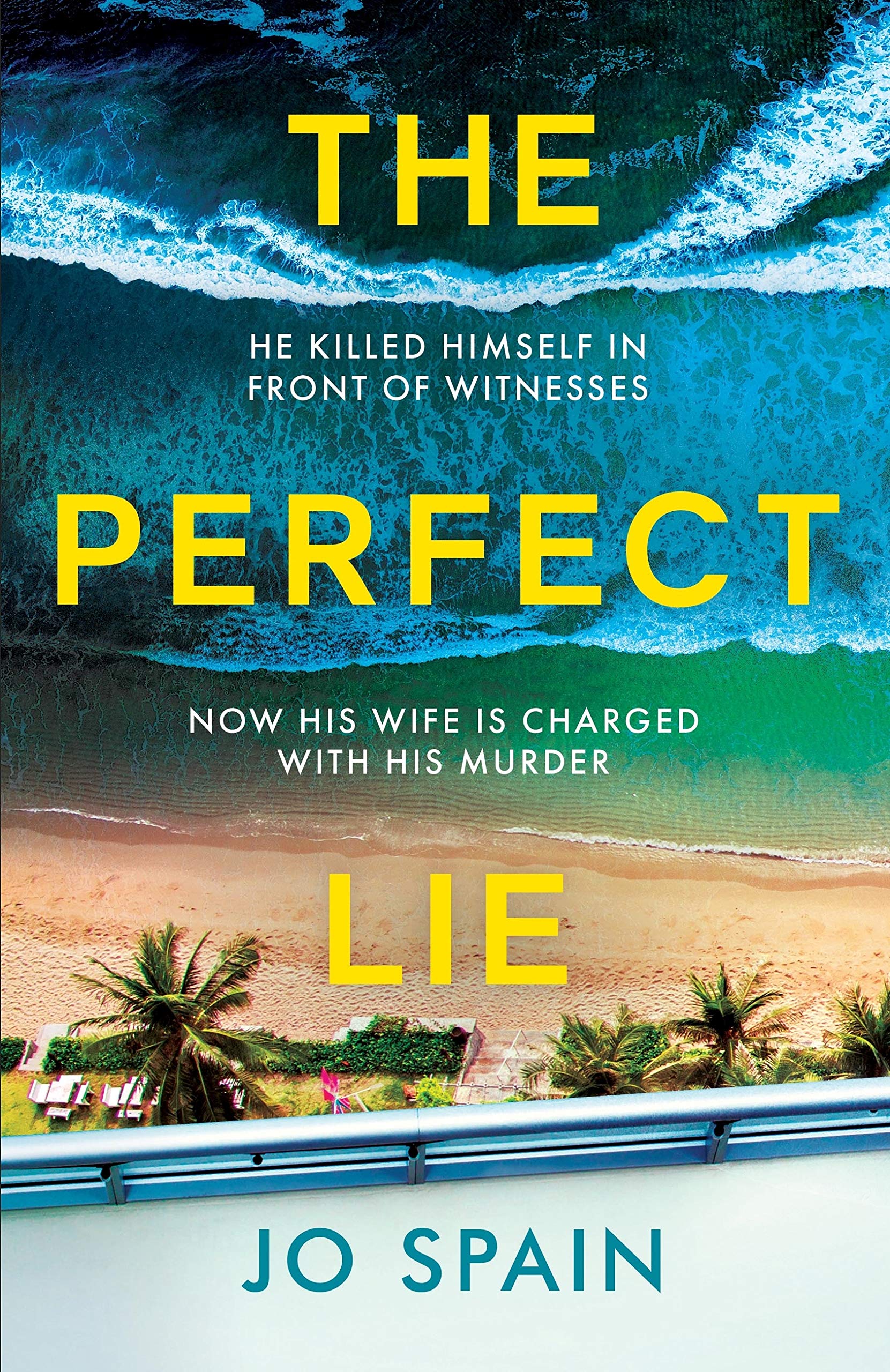 The Perfect Lie (Kindle Edition)