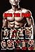 Into the Frat Bundle by A.J. Ambrose