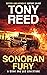 Sonoran Fury (A Monk and Le...