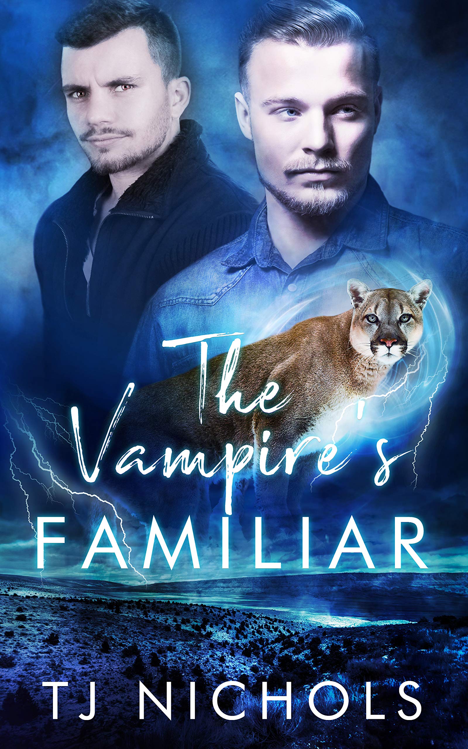 The Vampire's Familiar (Familiar Mates, #2)