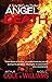Angel of Death (Terry McGui...