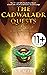 11+ Vocabulary – The Cadwaladr Quests – Book Two by S.L. Ager