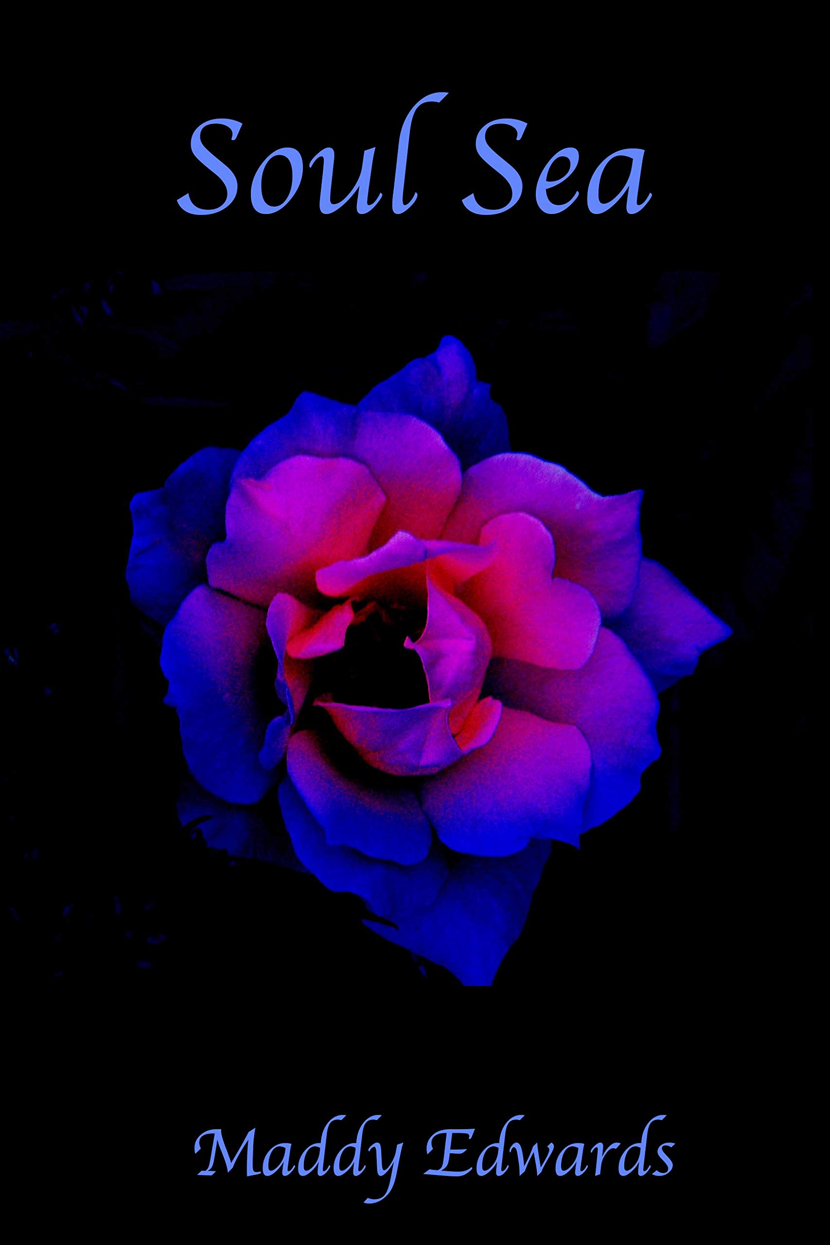 Soul Sea (One Black Rose Book 8)