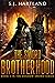 The Sword Brotherhood (Shad...