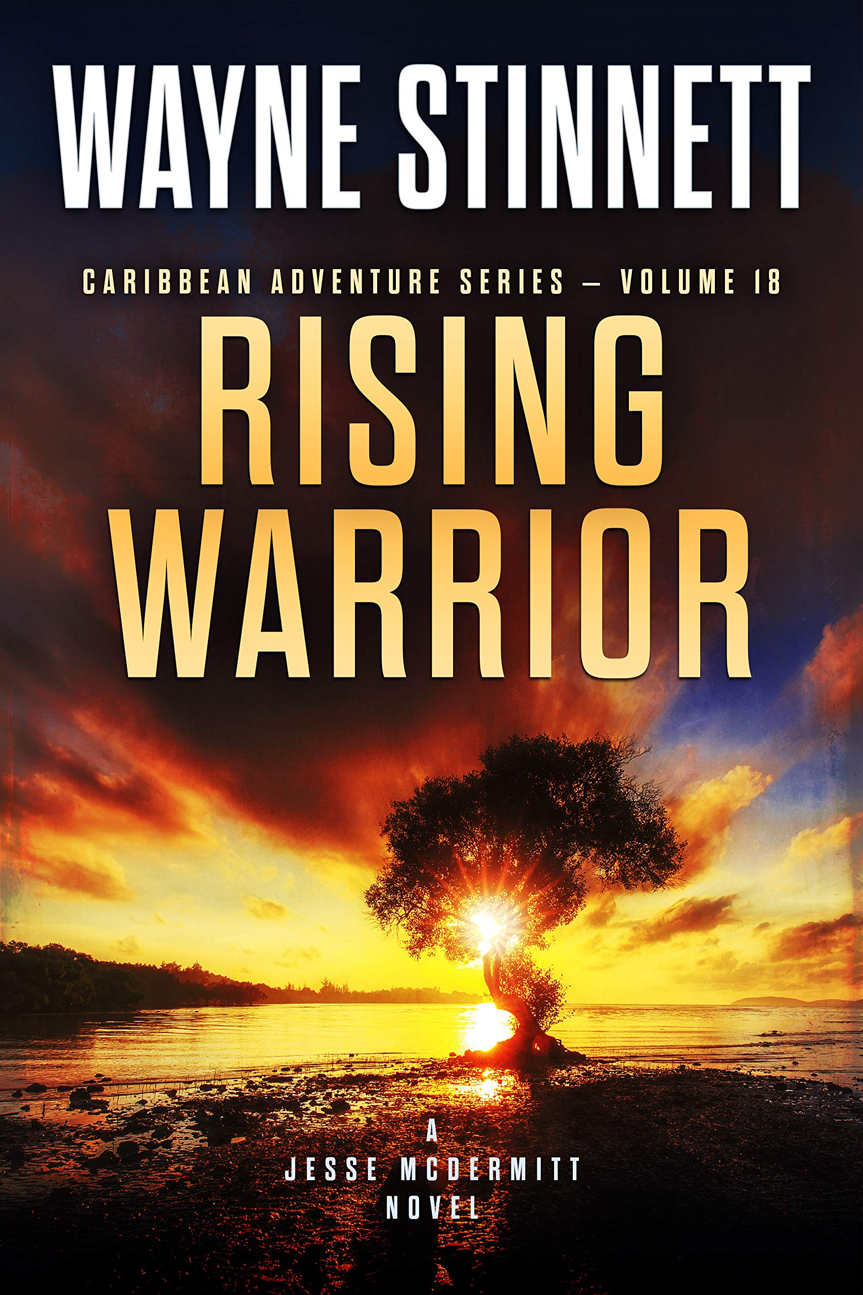 Rising Warrior (Jesse McDermitt Caribbean Adventure, #18)