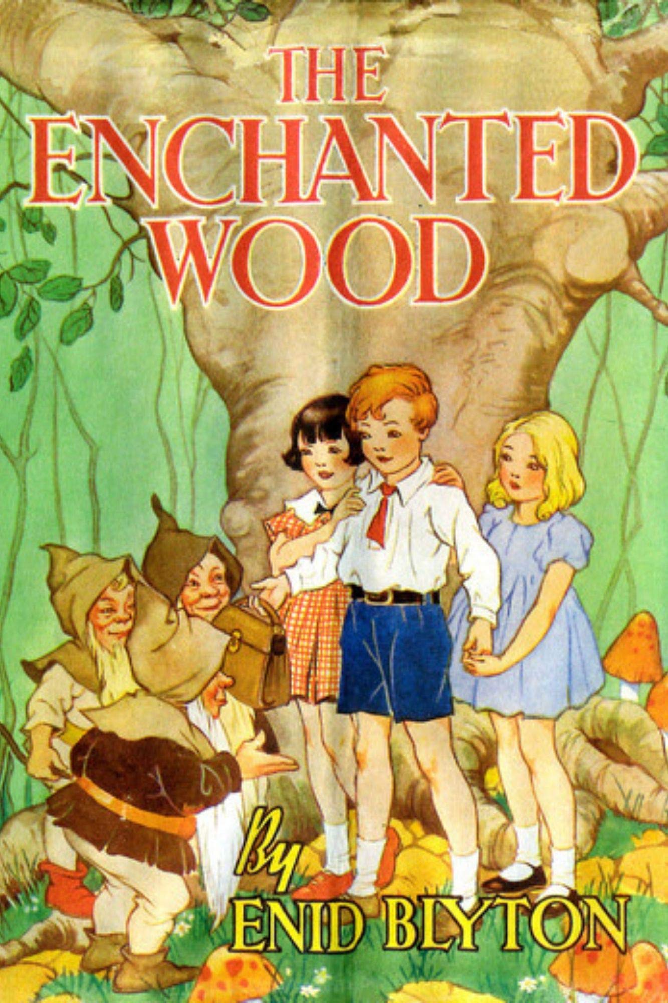 The Enchanted Wood: