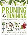 Pruning and Train...