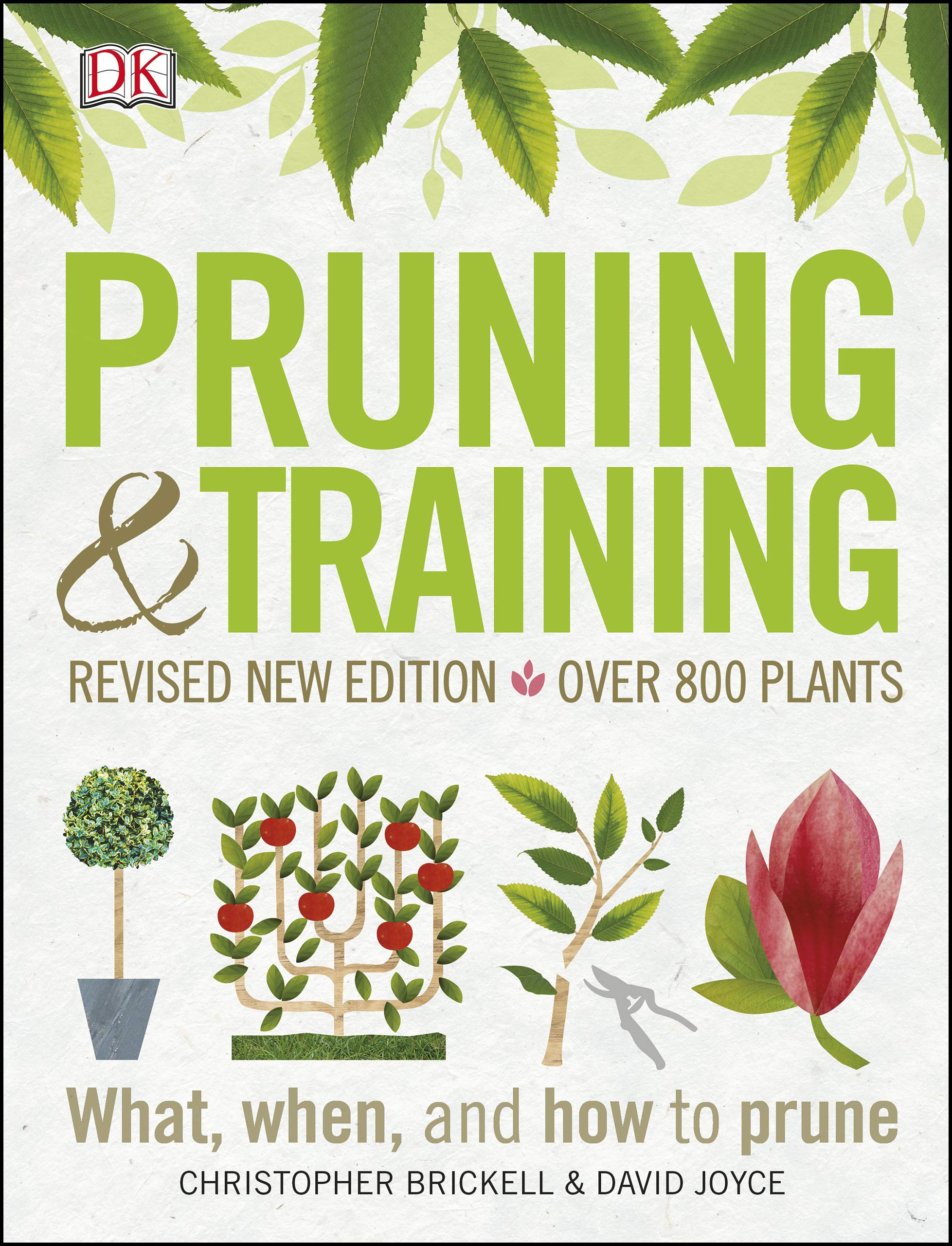 Pruning and Training, Revised New Edition: What, When, and How to Prune (Kindle Edition)