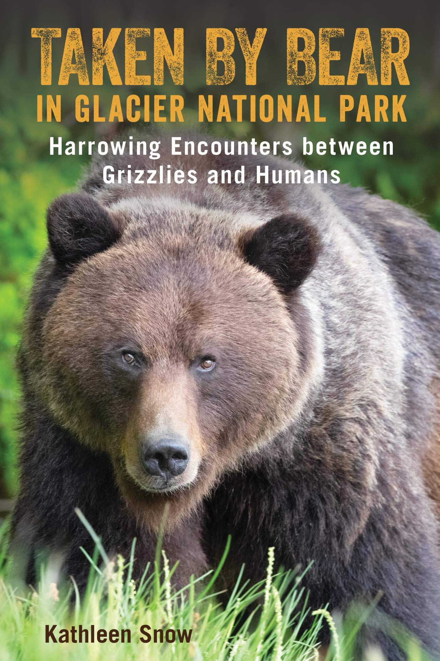 Taken By Bear in Glacier National Park: Harrowing Encounters between Grizzlies and Humans (Kindle Edition)