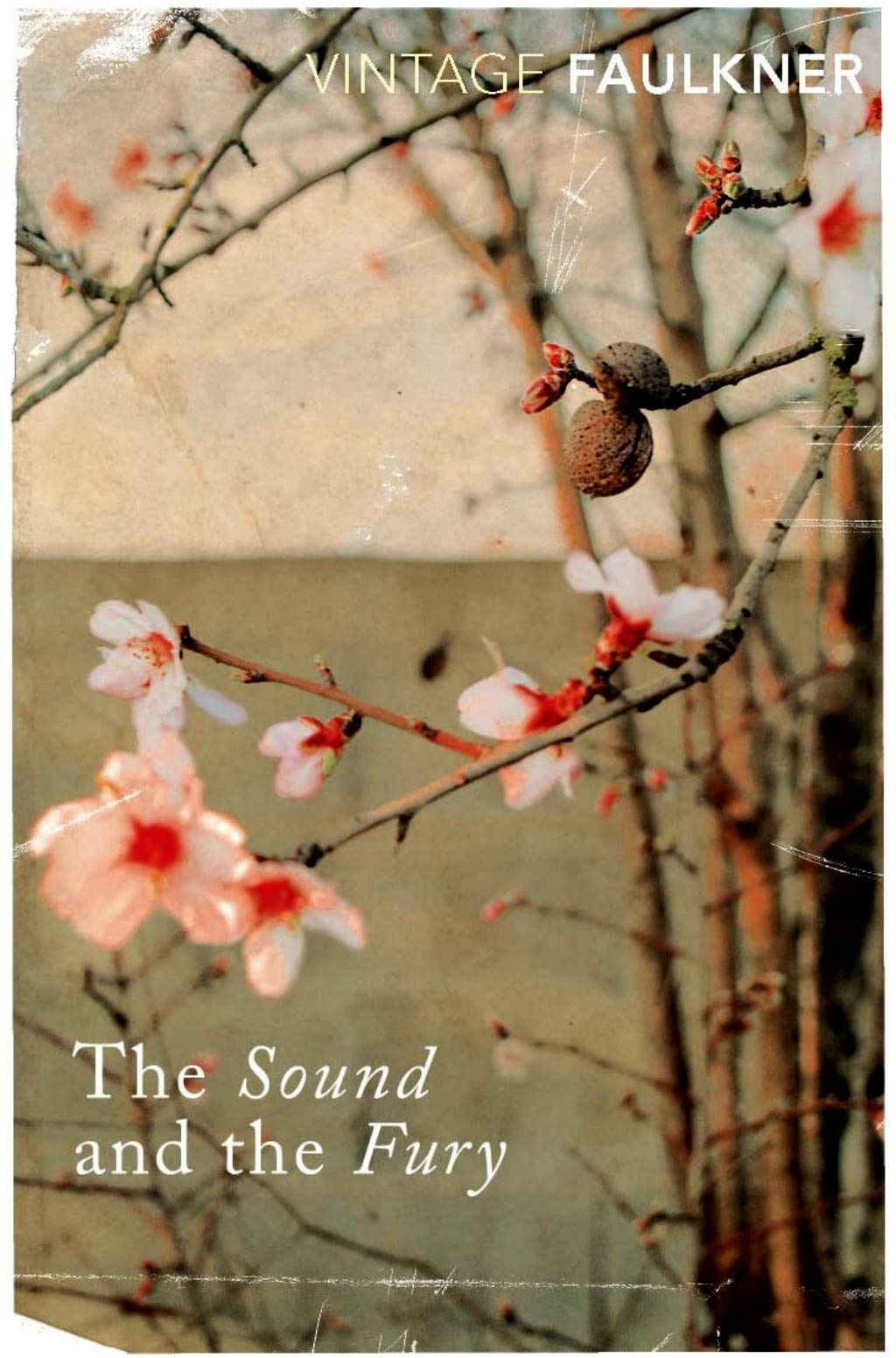 The Sound and the Fury