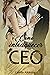 Como enlouquecer um CEO (Livro único) by Camila Alkimim