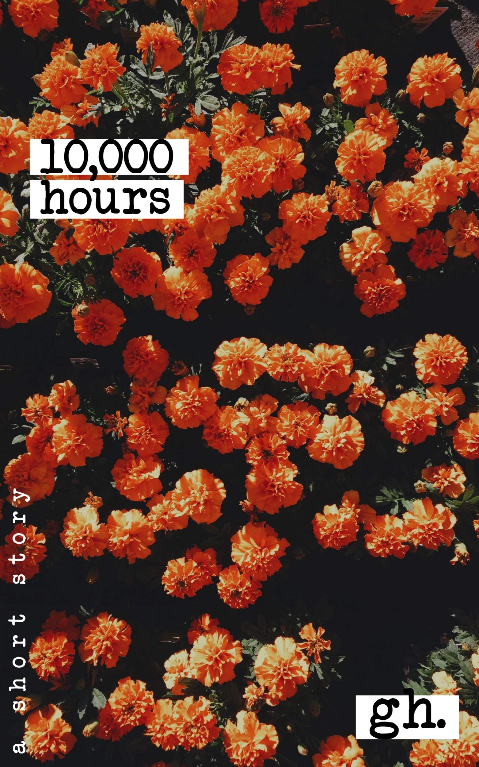 10,000 hours. (Kindle Edition)