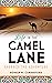 Life in the Camel Lane: Embrace the Adventure
