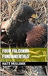 Four Falconry Fun...
