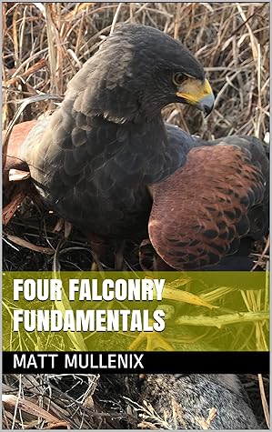 Four Falconry Fundamentals