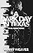 A Dark Day in Texas by Terry Weaver