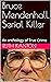 Bruce Mendenhall, Serial Ki...