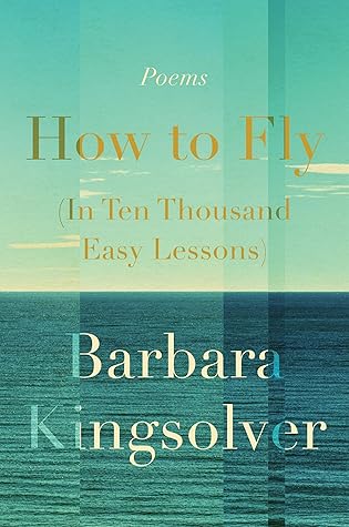 How to Fly: In Ten Thousand Easy Lessons