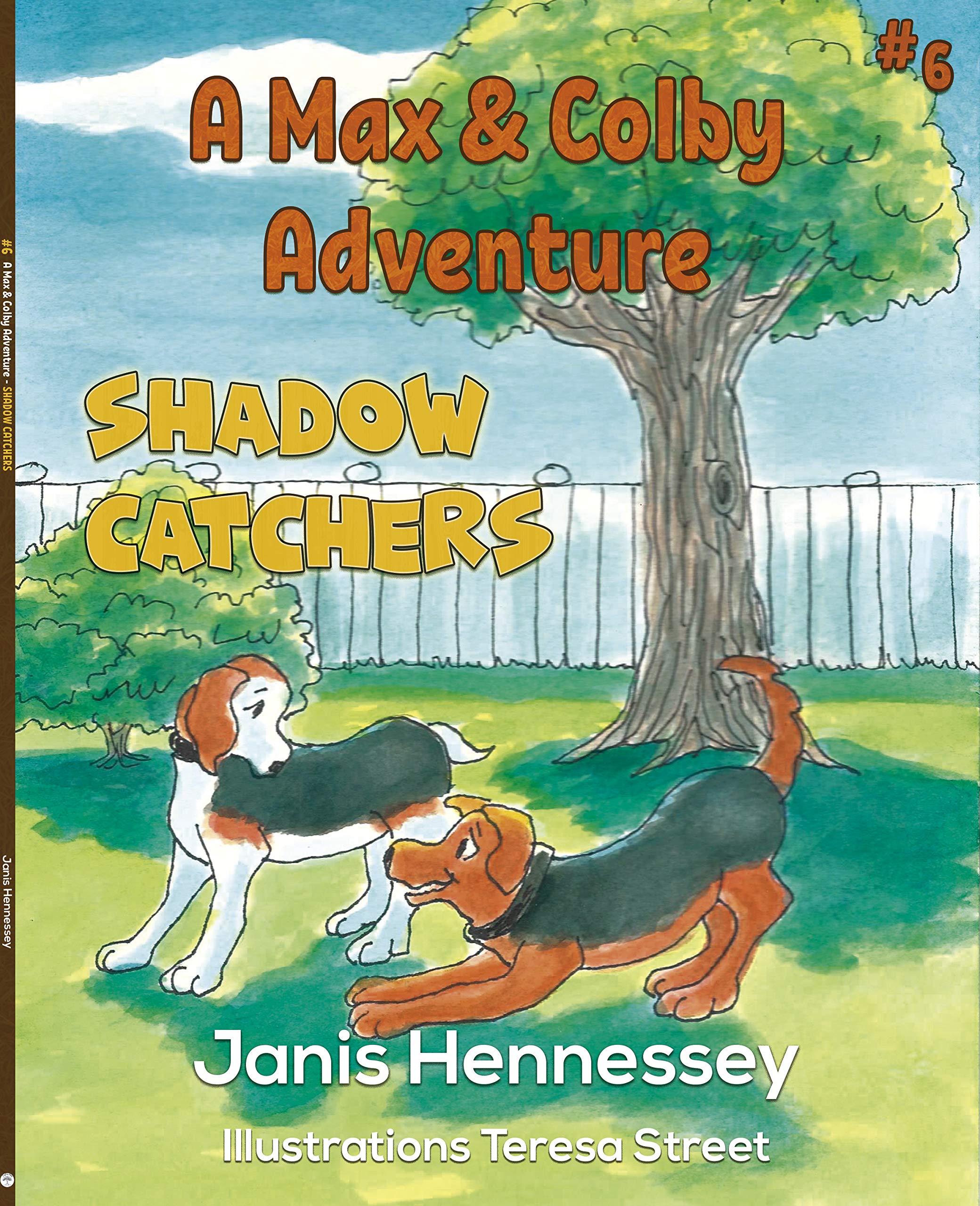 Shadow Catchers (A Max and Colby Adventure, #6)