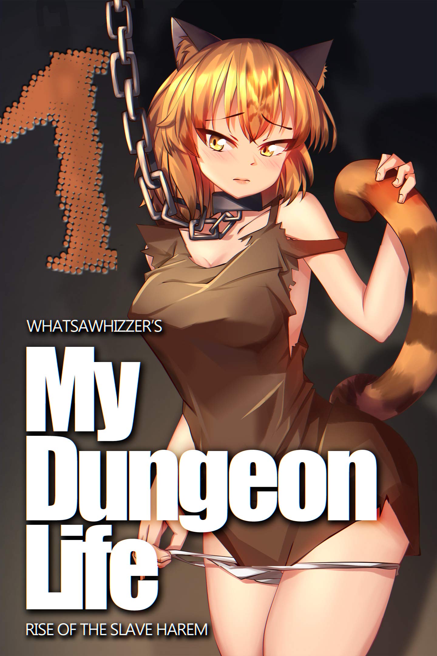 My Dungeon Life: Volume 1 (Kindle Edition)